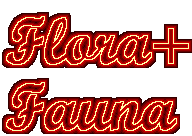 Flora & Fauna Homepage