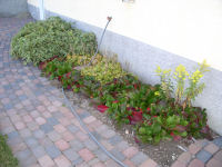Flowerbed North of House