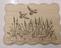 Woodburning pond with ducks
